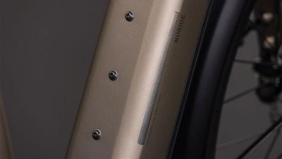 Cube Nuride Hybrid Pro 600 flashstone'n'chrome Gr&ouml;&szlig;e: 54 cm Produktbild 2