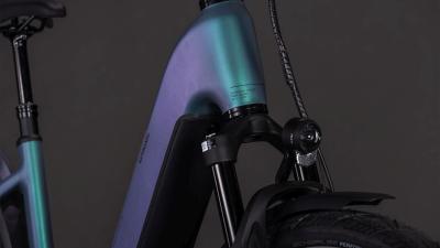 Cube Kathmandu Hybrid EXC 800 smaragdgrey'n'prism Gr&ouml;&szlig;e: Easy Entry 50 cm Produktbild 5