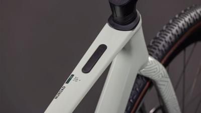 Cube Nuroad C:62 SLX reedbeige'n'chrome Gr&ouml;&szlig;e: L Produktbild 1
