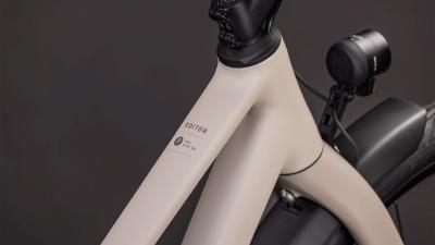 Cube Editor Pro FE oatgrey'n'grey Gr&ouml;&szlig;e: Trapeze 54 cm Produktbild 1