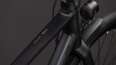 Cube Nulane Pro FE grey'n'chrome Gr&ouml;&szlig;e: 50 cm Produktbild 1