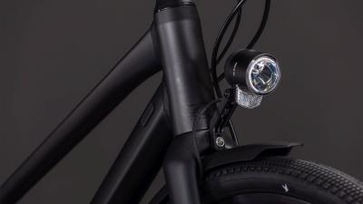 Cube Nulane Pro FE grey'n'chrome Gr&ouml;&szlig;e: Trapeze 50 cm Produktbild 4