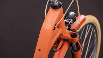 Cube Aruba papaya'n'creme Gr&ouml;&szlig;e: Easy Entry 53 cm Produktbild 1