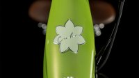 Cube Ella Ride Hybrid 500 green'n'green Größe: Easy Entry 54 cm / M